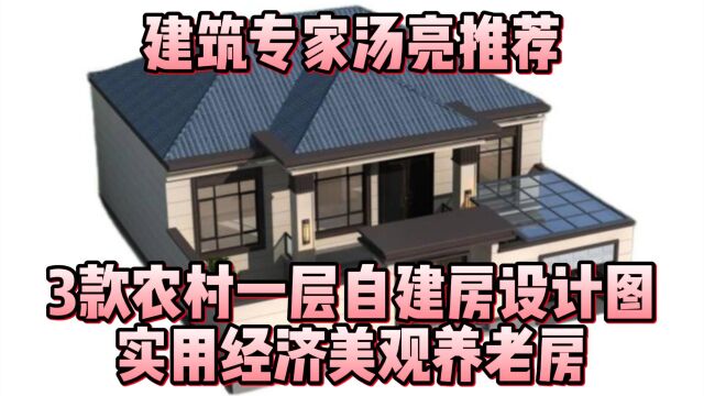 建筑专家汤亮推荐:3款农村一层自建房设计图,实用经济美观养老房