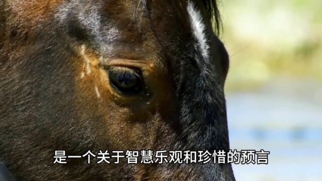 塞翁失马焉知非福