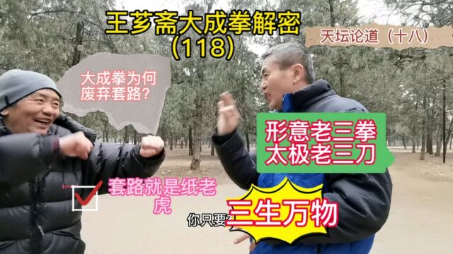 第118集|大成拳为何废弃套路?