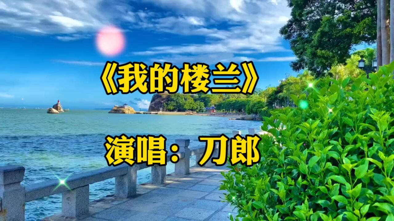 刀郎现场演唱我的楼兰图片