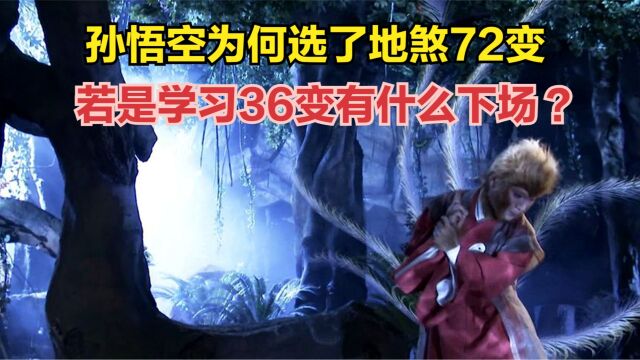 孙悟空为何选了地煞72变,你看若是学习36变有什么下场?