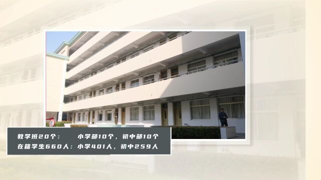 天马山学校:“三真乐园”见真才丨家门口的好学校