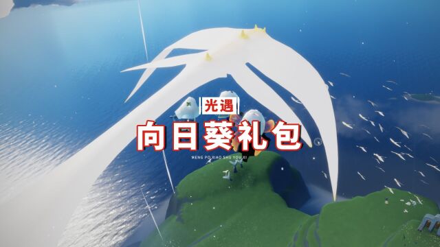 光遇:有友节礼包官宣?向日葵帽子、发饰、项链和花盆