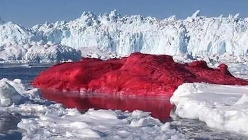 南极传来一噩耗，当地出现“血雪”，专家∶担心的事还是发生了