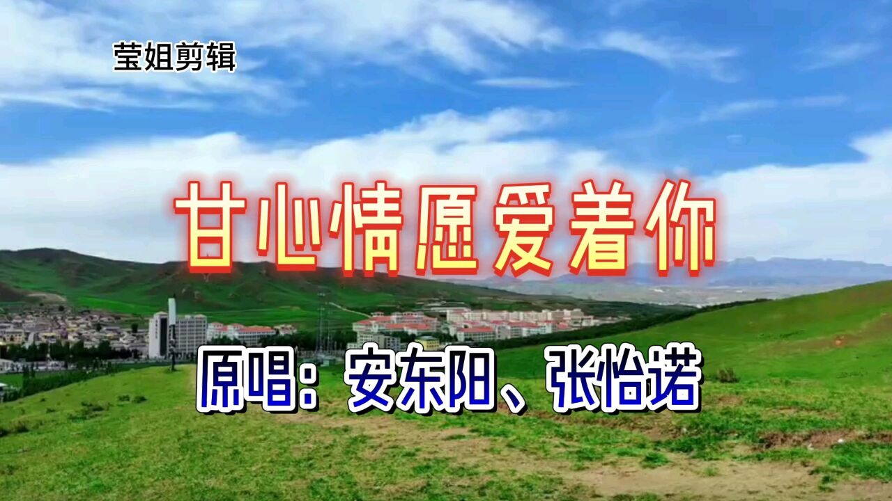 《甘心情愿爱着你》原唱安东阳,张怡诺,旋律优美,甜蜜醉人