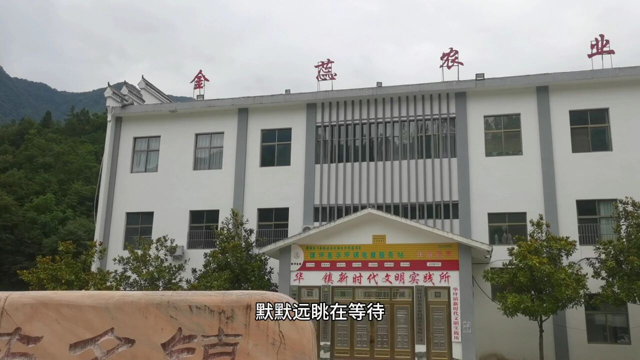 五好华坪人间仙境一陕西安康镇坪县华坪镇风景探访一|记者王开成