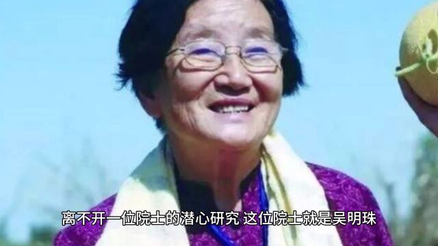 实现国人西瓜自由的院士吴明珠