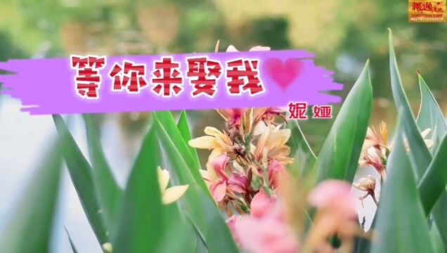 妮娅:原创音乐人,著名歌手,湖北民族歌舞团特邀歌唱演员,中国少数民族音乐学会会员,世界硒都.恩施文旅宣传形象大使.