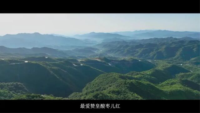 歌曲:最美赞皇酸枣红