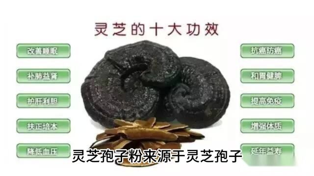 灵芝孢子粉哪个牌子品质好,哪个品牌的灵芝孢子粉最好