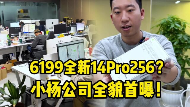 6199可以拿下全新14Pro 256?小杨公司全貌首次公开!