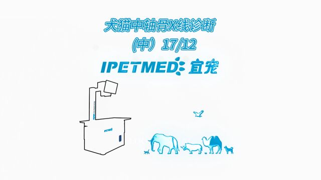 犬猫中轴骨X线诊断(中)17/12