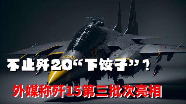 不止歼20“下饺子”?外媒称歼15第三批次亮相,福建舰或用歼15BT