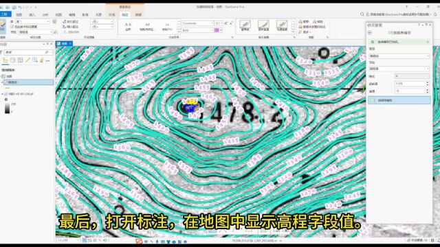 GIS软件如何给等高线批量赋高程值?(视频教程)