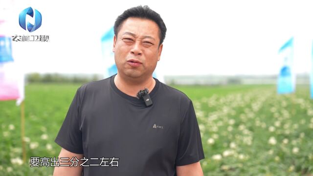 国投罗钾与马铃薯的约会——马铃薯花开“薯”光无限