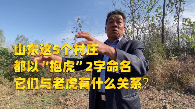 山东这里有5个村庄,都以“抱虎”2字命名,它们与老虎有什么关系?