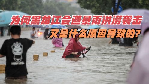 为何黑龙江会遭暴雨洪涝袭击，又是什么原因导致的？