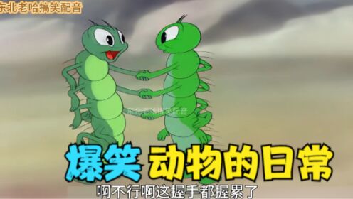 动物们的一天是怎么度过的，实在太离谱了！_高清1080P在线观看平台_腾讯视频