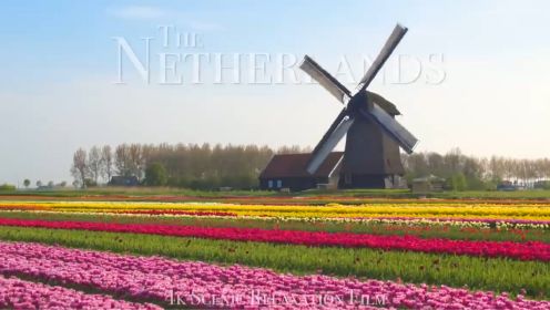 荷兰 | 4K 风景休闲影片