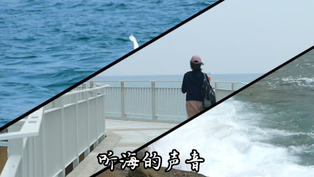 去海边追波逐浪