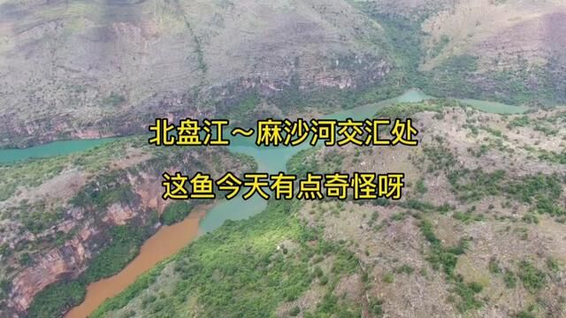 北盘江与麻沙河交界处 简直就是世外桃源般的存在 更是钓鱼爱好者的天堂#感受大自然的气息和美景 #大山深处自然美山清水秀好风光