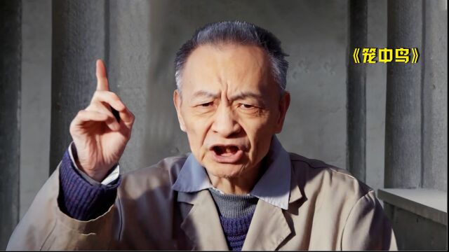 上海精神病院实拍,这里的患者,比一般人更“聪明”,纪录片