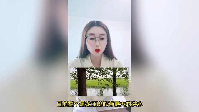 东北洪水已经到了刻不容缓的地步