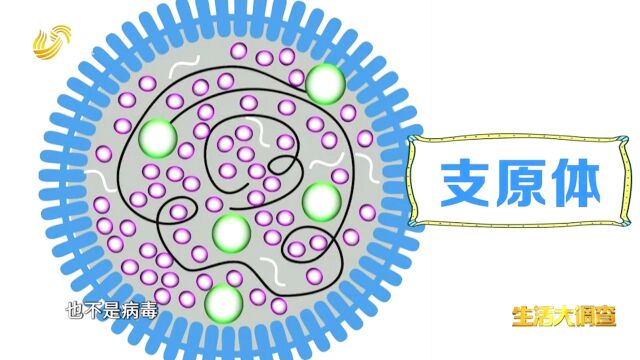 什么是支原体肺炎,它有传染性吗?医生为你分析,通俗易懂