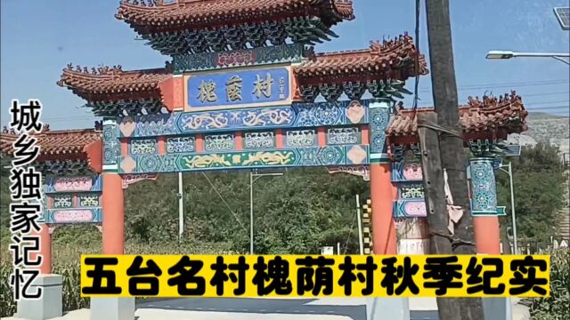 五台名村槐荫村秋季纪实