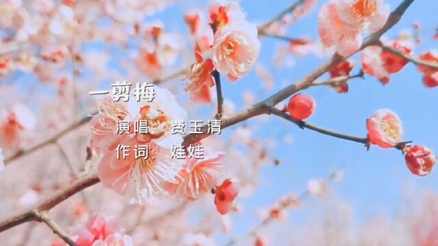 经典怀旧歌曲《一剪梅》演唱:费玉清