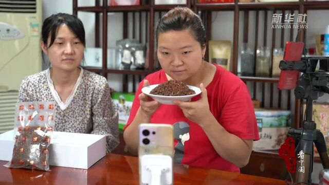 千城百县看中国|山东枣庄:“椒”香四溢富农家