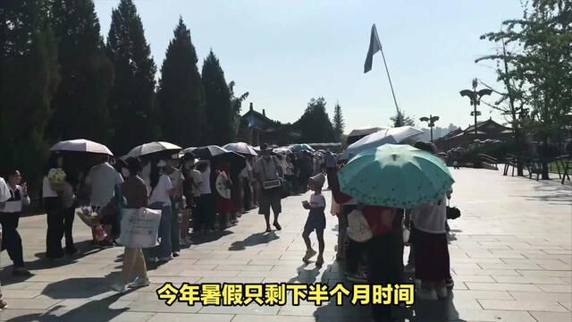 陕西历史博物馆、西安博物院一票难求?黄牛和旅行社“功不可没” #陕西历史博物馆#西安博物院#陕西历史博物馆门票