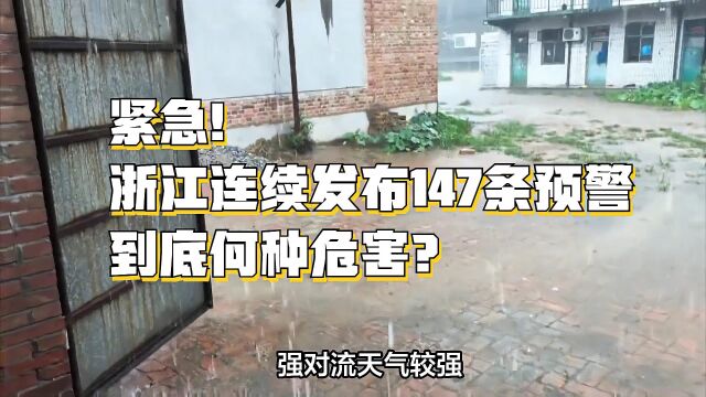 紧急!浙江连续发布147条预警,到底何种危害?