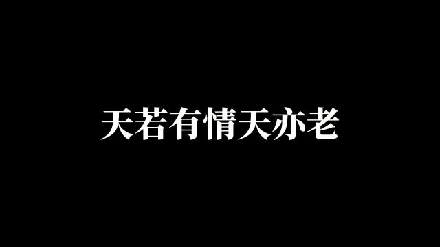 熊出没除了搞笑的英文版,还有内涵的中文版#熊出没#搞笑