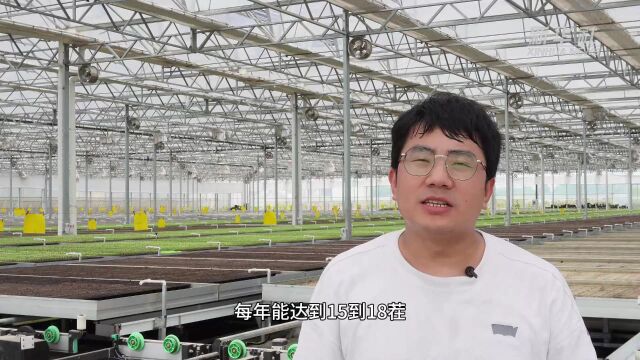 告别“靠天吃饭” 探访上海蔬菜智能工厂