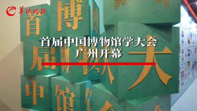 【视频】博物馆这么火,院长馆长到全国首次博物馆学大会上都说了些啥?