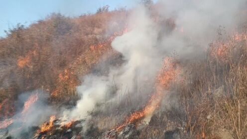 商城县2023年度森林防灭火应急演练