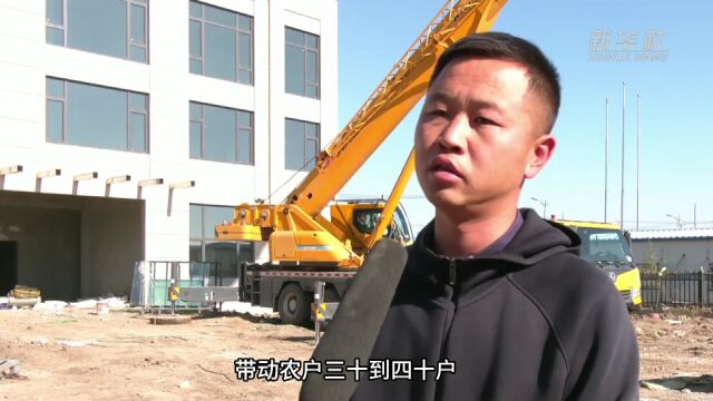 吉林乾安:打造“六大产业集群” 推进农村三产融合发展