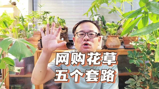 聊聊网购绿植,无良商家常见5个套路,记好了别踩坑