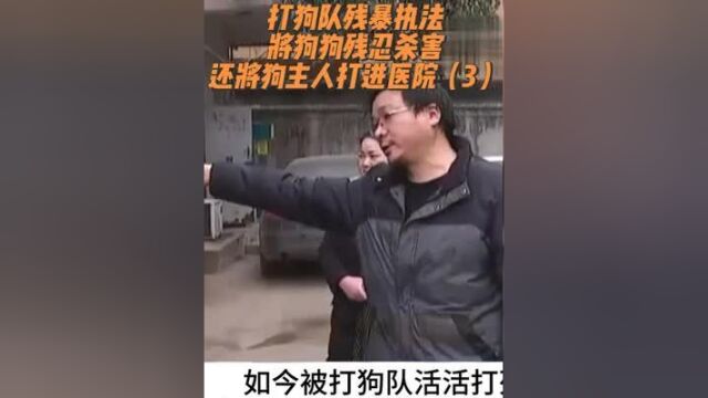 打狗队残暴执法,将狗残忍杀害,还将狗主人打进医院