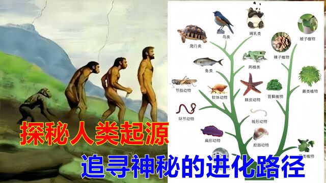 213揭开人类起源之谜:让你知道自己是从哪来的,会不会是外星人