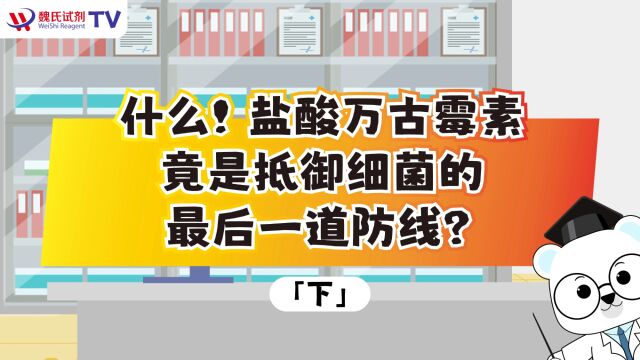 什么!盐酸万古霉素竟是抵御细菌的最后一道防线?(下)