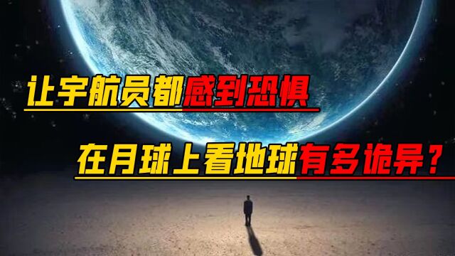 月球上看地球有多诡异,宇航员们直呼恐惧,他们到底看到了什么? 