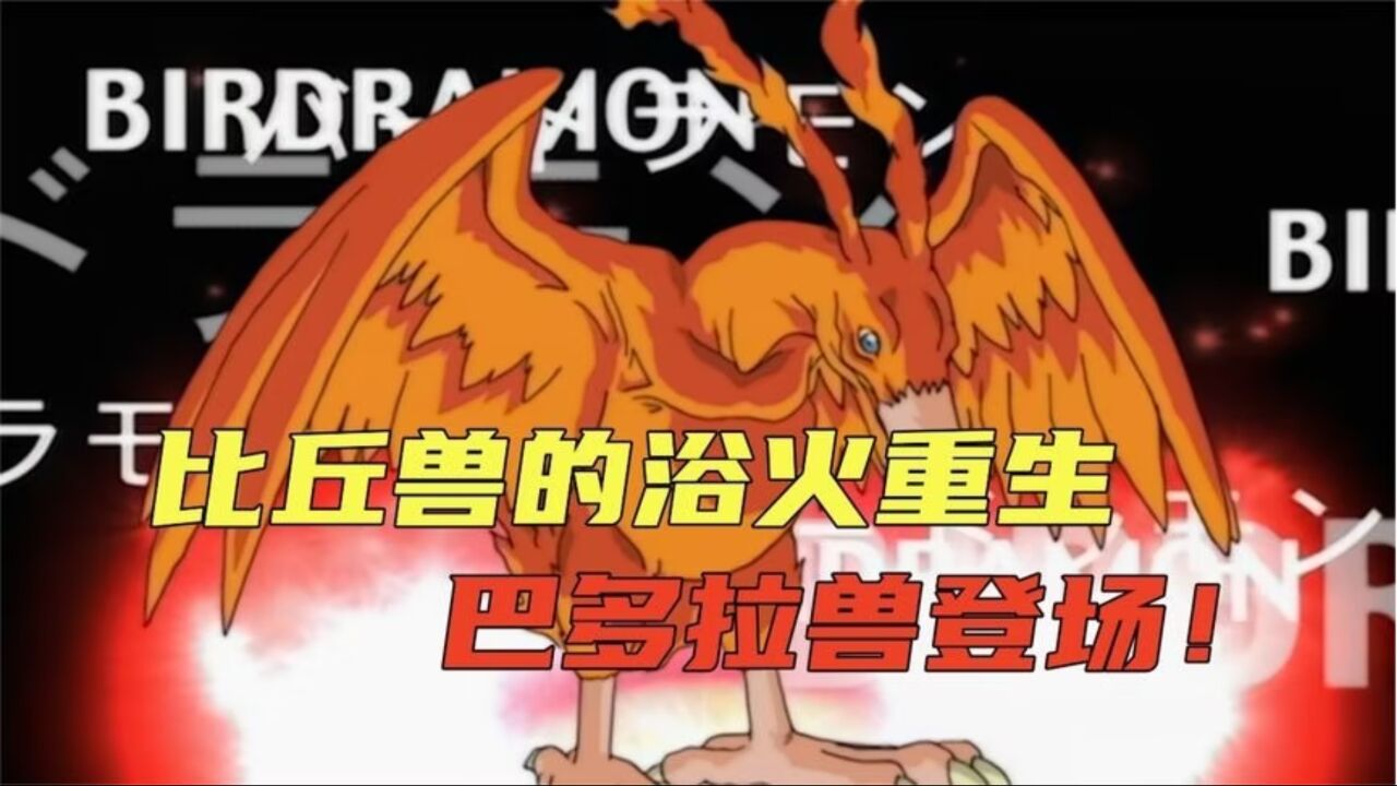 什么?比丘兽的究极进化,竟然是个四百多斤的肥凤凰