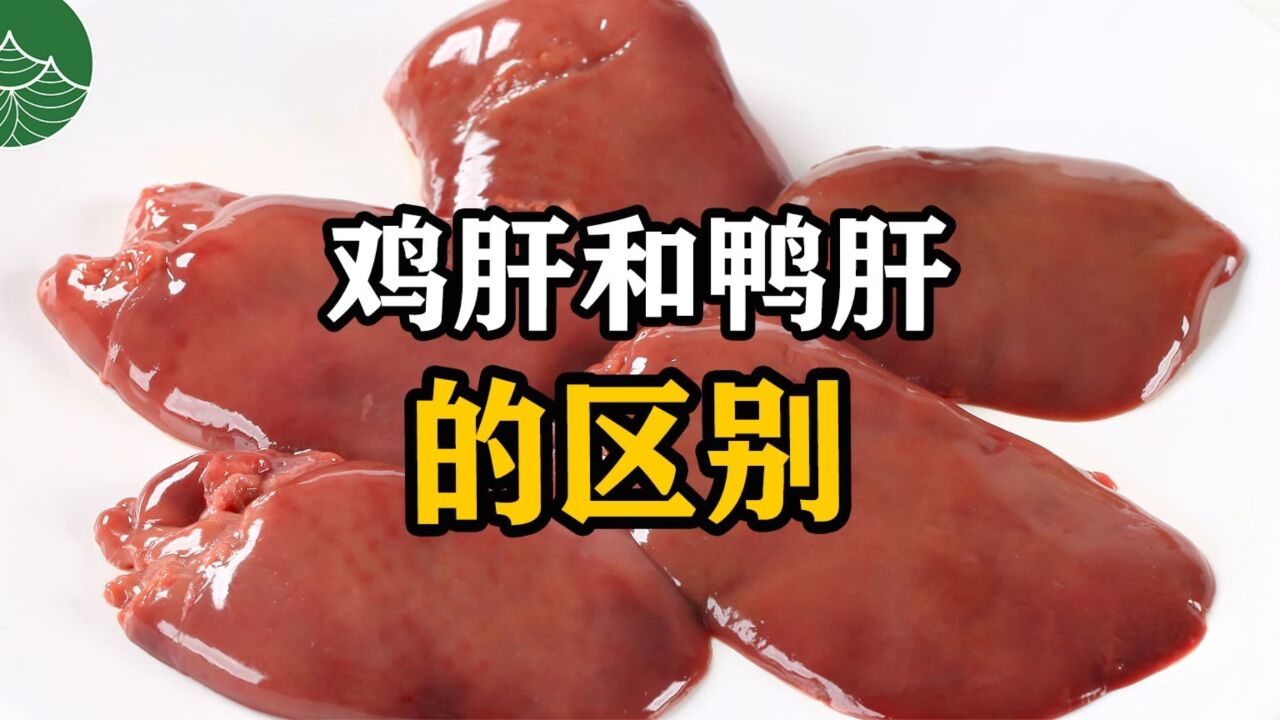 鸡肝和鸭肝的区别