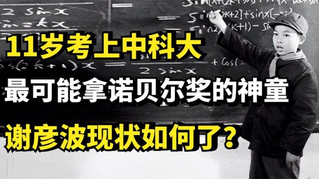 11岁考上中科大,最有希望拿诺贝尔奖的神童谢彦波,现状如何了?