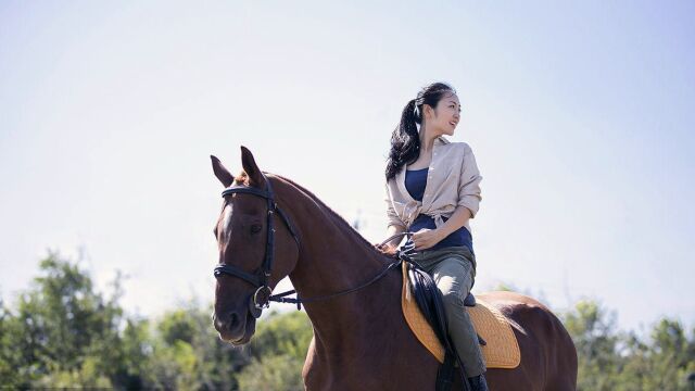 骑马快跑的技巧和方法视频教程有哪些,骑马怎么让马跑起来