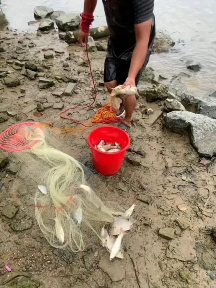 #捞鱼也是技术活这个地方的鱼真的随便撒一网都有鱼,你们那里有没有这么多鱼#撒网的正确打开方式#飞盘撒网#逮鱼摸虾_高清1080P在线观看平台_腾讯视频