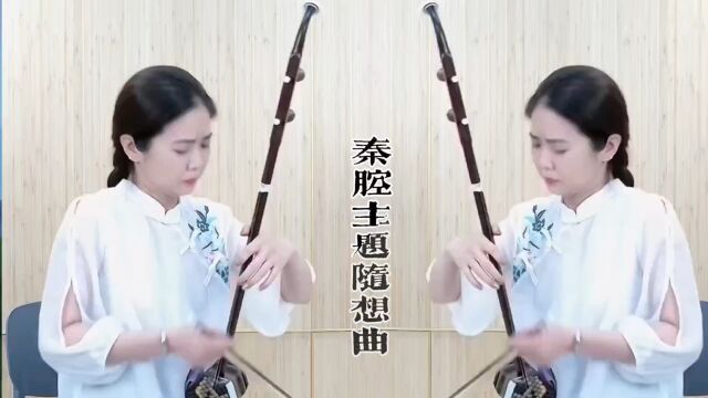 《秦腔主题随想曲》古山乐器美女老师二胡演奏剪辑分享