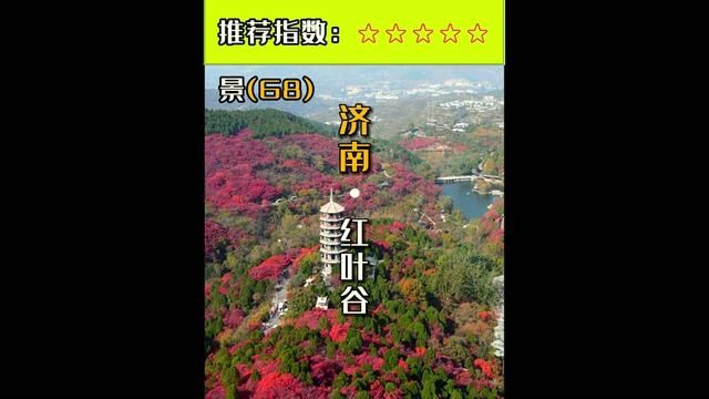 第68集|红叶谷生态文化旅游区,位于山东省济南市历城区锦绣川乡南部山区,是济南园林集团开发建设的一个新的旅游区